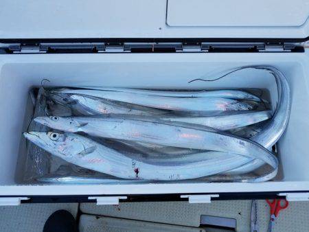 遊漁船　ニライカナイ 釣果