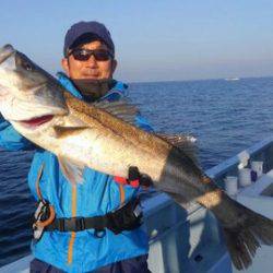東京湾探釣隊ぼっち 釣果