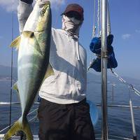 YELLOW-TAIL　イエローテール 釣…