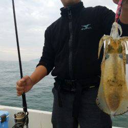 Magic(マジック) 釣果