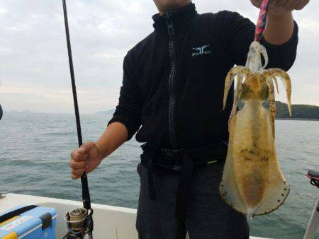 Magic(マジック) 釣果