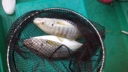 第３浜丸 釣果