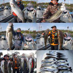 TOPGUN名古屋 釣果