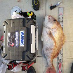 遊漁船 ニライカナイ 釣果