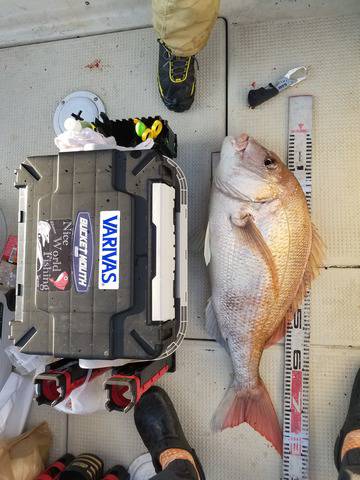 遊漁船 ニライカナイ 釣果