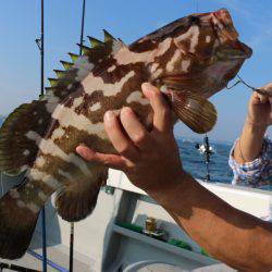 へいみつ丸 釣果
