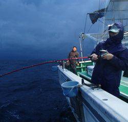 第二むつ漁丸 釣果