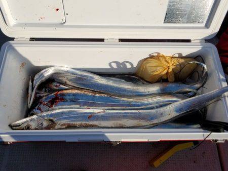 遊漁船　ニライカナイ 釣果