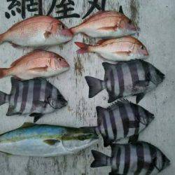 網屋丸 釣果