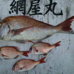 網屋丸 釣果