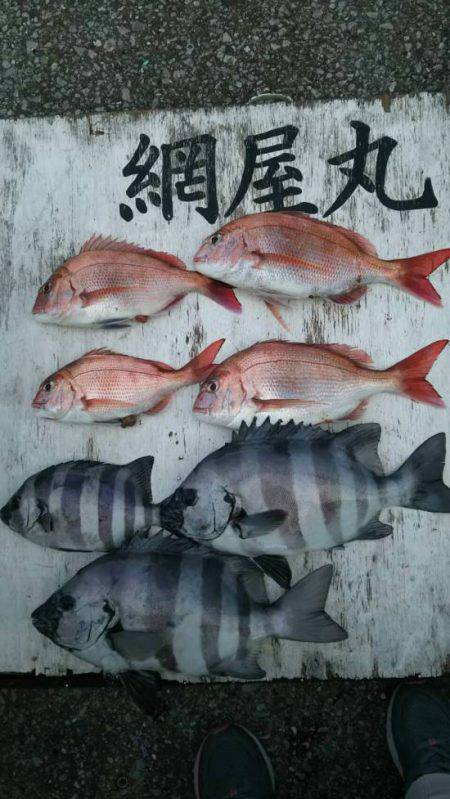 網屋丸 釣果