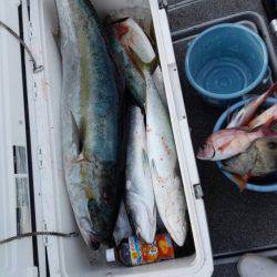 第二大福丸 釣果