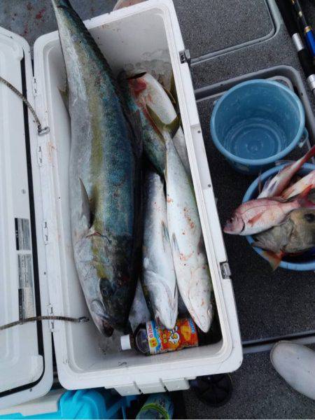 第二大福丸 釣果