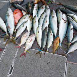 第二大福丸 釣果