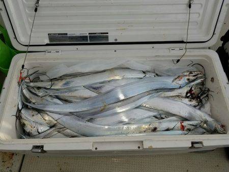 遊漁船　ニライカナイ 釣果