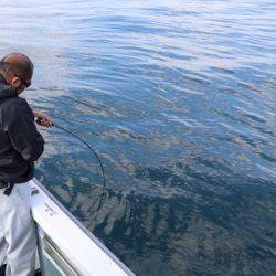 スカイマリン 釣果