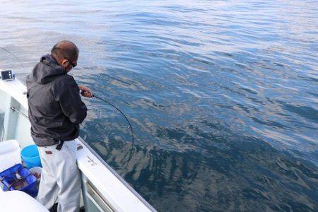 スカイマリン 釣果