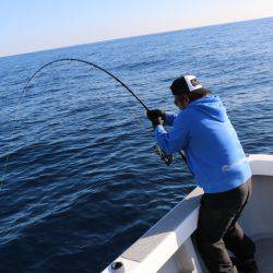 へいみつ丸 釣果