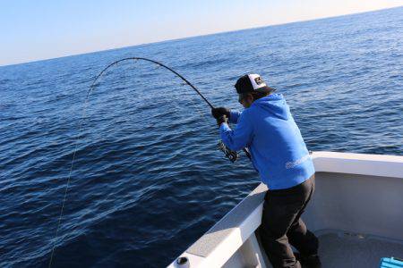 へいみつ丸 釣果