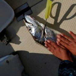 遊漁船 ニライカナイ 釣果