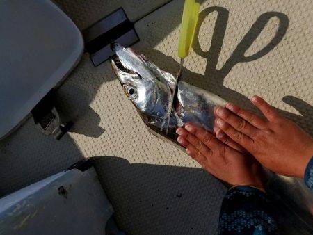 遊漁船 ニライカナイ 釣果