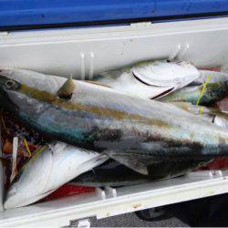 第二大福丸 釣果