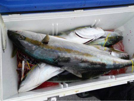 第二大福丸 釣果