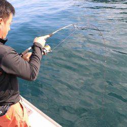 スカイマリン 釣果