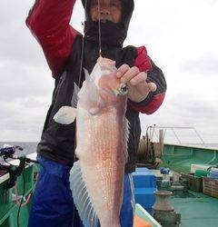 第二むつ漁丸 釣果