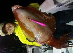 ディープ オーシャン 釣果