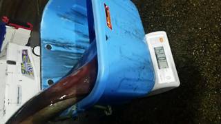 ディープ オーシャン 釣果