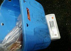 ディープ オーシャン 釣果