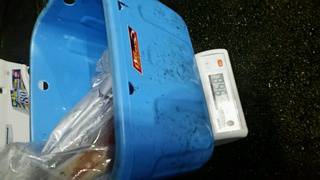 ディープ オーシャン 釣果