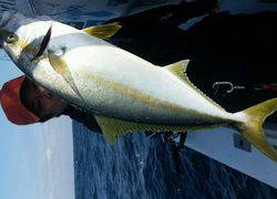 ディープ オーシャン 釣果