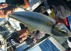 ディープ オーシャン 釣果