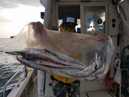 遊漁船 ニライカナイ 釣果