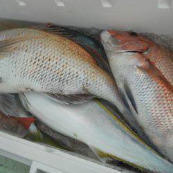 こうゆう丸 釣果