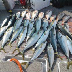 第二大福丸 釣果