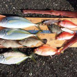 第3浜丸 釣果