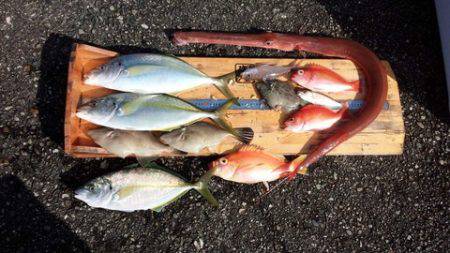 第3浜丸 釣果