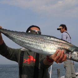 へいみつ丸 釣果
