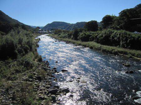 狩野川（狩野川漁業協同組合） 釣果