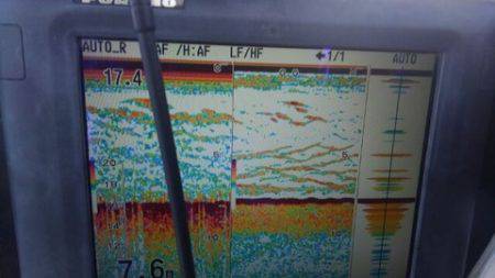東京湾探釣隊ぼっち 釣果