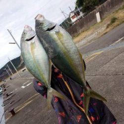 第3浜丸 釣果