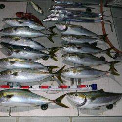 スカイマリン 釣果