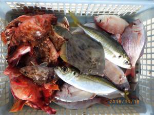石川丸 釣果