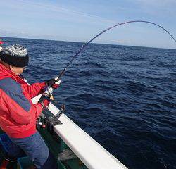 第二むつ漁丸 釣果