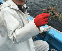 おざき丸 釣果