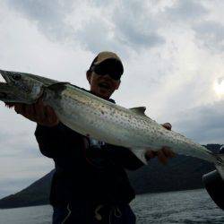 Magic(マジック) 釣果