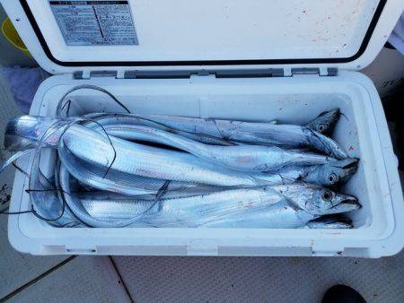 遊漁船　ニライカナイ 釣果